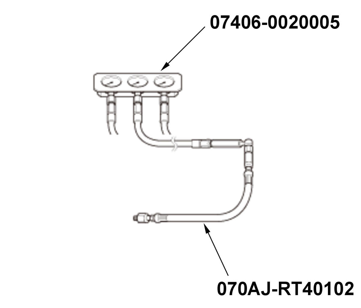 GHH528571