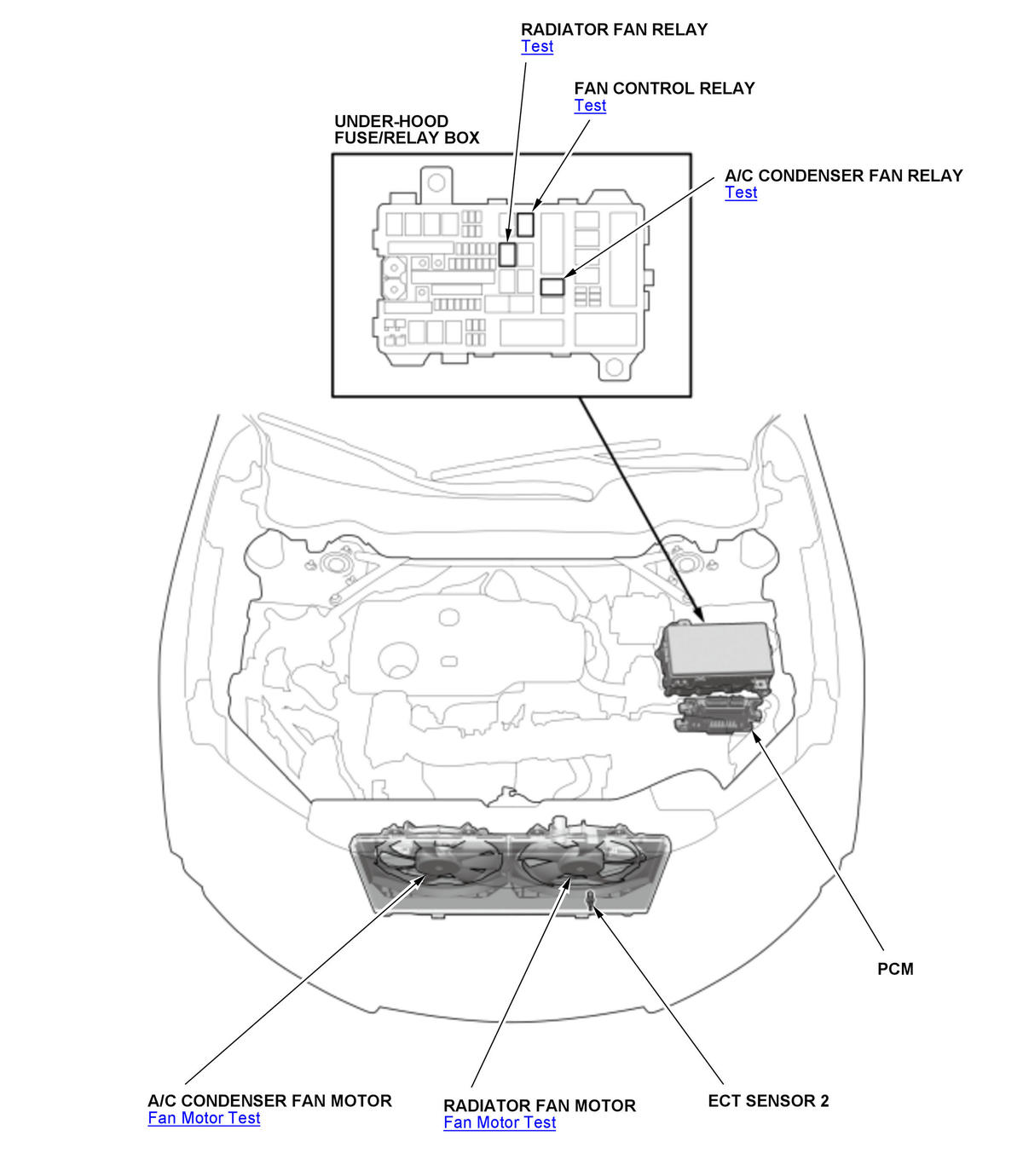 GHH560649