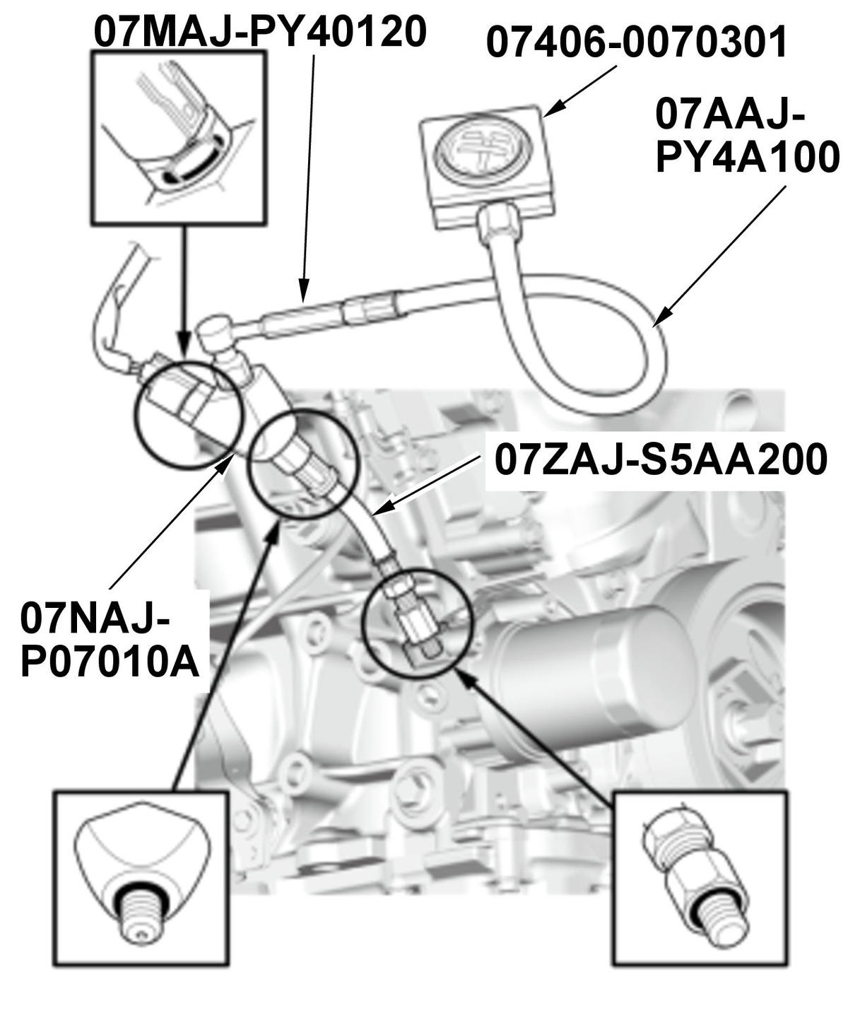 GHH580309