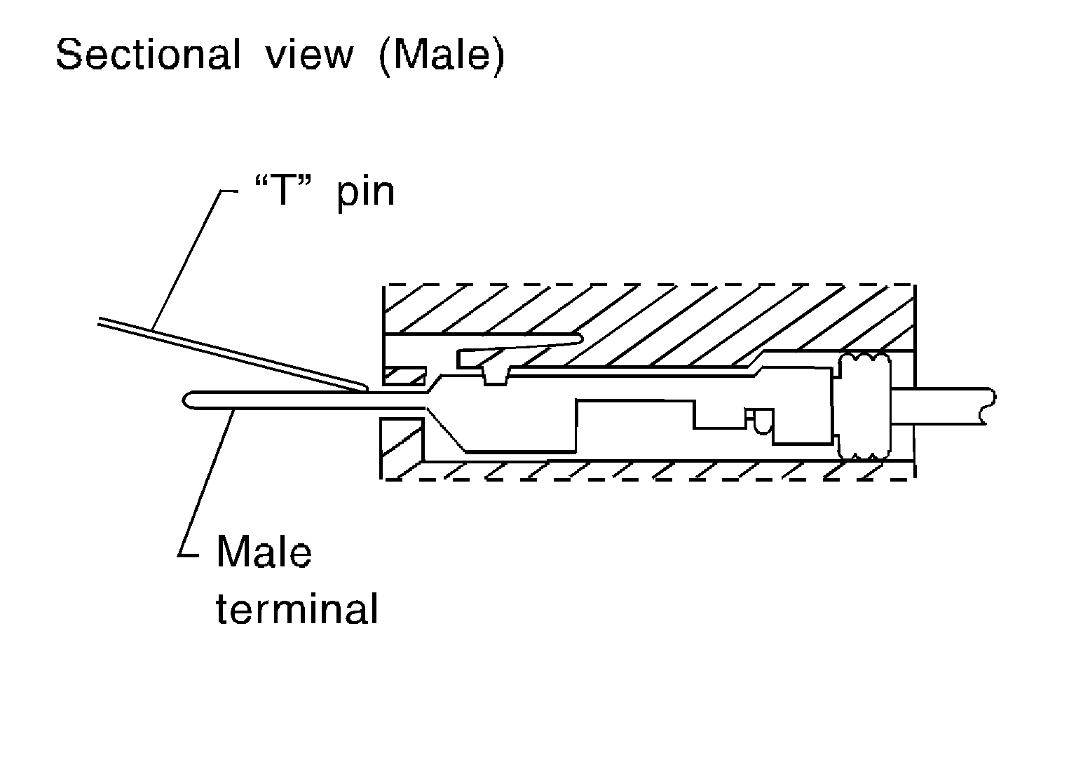 GNSDB33983