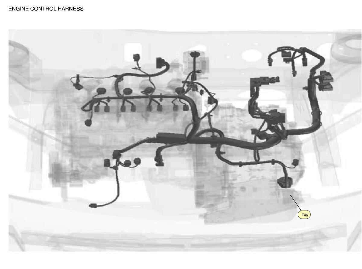 GNSW83164_LK_F046