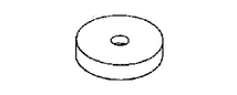 GTY102971