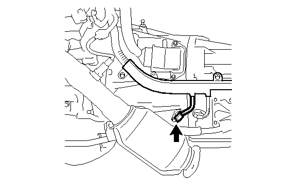GTY124381