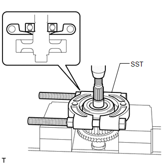 GTY217382