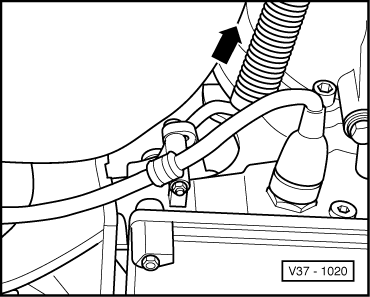 GWWV37-1020
